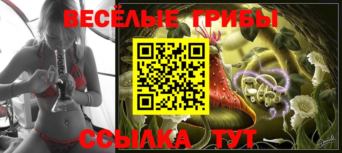 Псилоцибиновые грибы мухоморы  Галлюциногенные грибы Psilocybine cubensis  Тында  Вход с VPN 